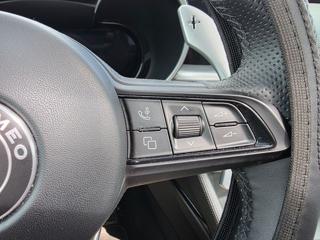 ALFA ROMEO Stelvio usata, con Trazione integrale