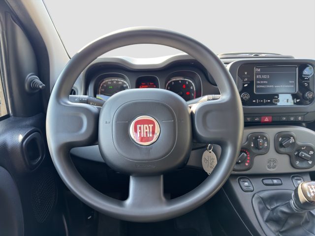 FIAT Panda usata 11