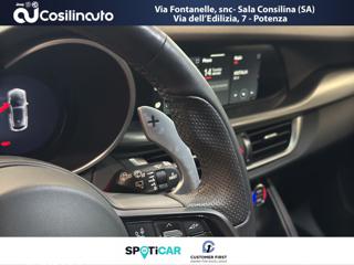 ALFA ROMEO Stelvio usata, con Immobilizzatore elettronico
