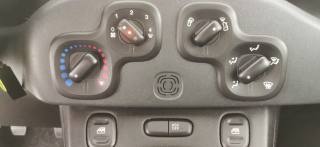 FIAT Panda usata 11