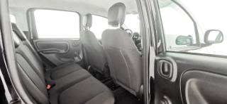 FIAT Panda usata 37