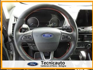 FORD EcoSport usata, con Airbag testa