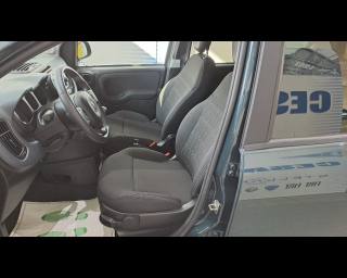 FIAT New Panda usata 24