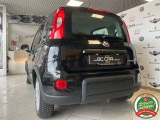 FIAT Panda usata 25
