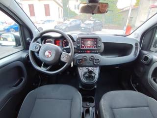FIAT Panda Cross usata, con Controllo trazione