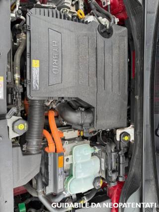 KIA Niro usata, con Fendinebbia