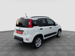 FIAT Panda usata 4