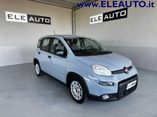FIAT Panda 1.0 FireFly S&S Hybrid - 5 posti