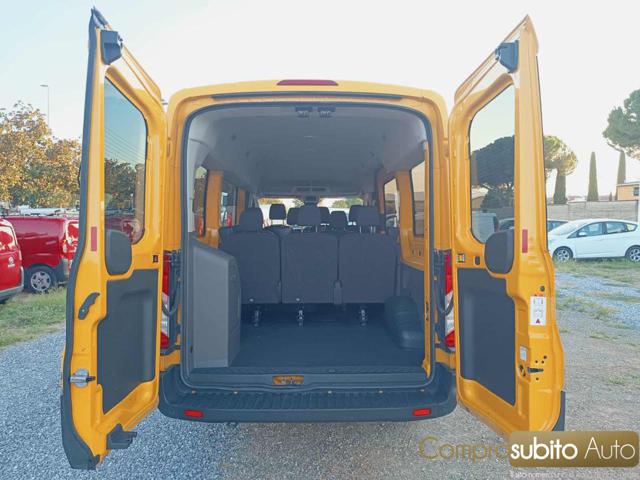 FORD Transit usata, con Fendinebbia