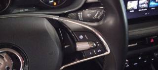 SKODA Fabia usata, con Sensori di parcheggio posteriori