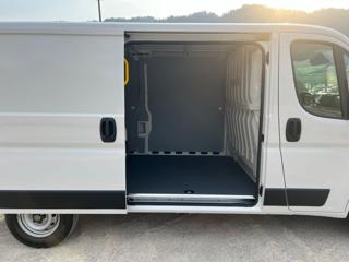 TOYOTA Proace Max usata, con Fendinebbia