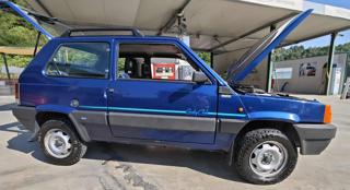 FIAT Panda usata 6