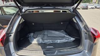 LEXUS UX 250h usata, con Cruise Control