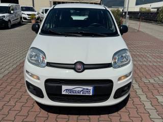 FIAT New Panda usata, con Airbag laterali