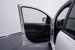 FIAT New Panda usata, con Controllo trazione