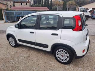 FIAT Panda usata, con Climatizzatore