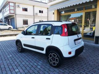 FIAT Panda usata, con Alzacristalli elettrici