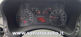 FIAT Panda usata 7