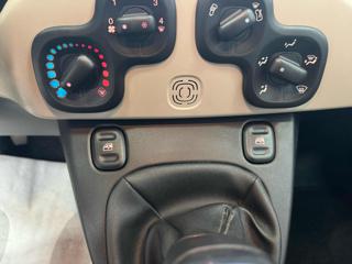FIAT Panda usata 17