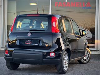 FIAT Panda usata, con Controllo trazione