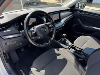 SKODA Octavia usata, con Fendinebbia
