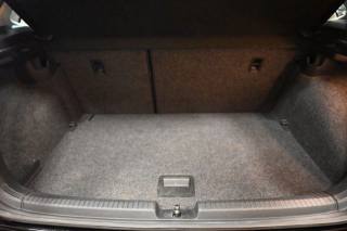 VOLKSWAGEN Polo usata 30