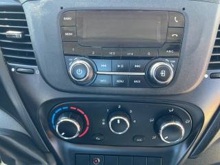 IVECO Daily usata 12
