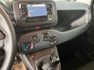 FIAT Panda usata, con Climatizzatore