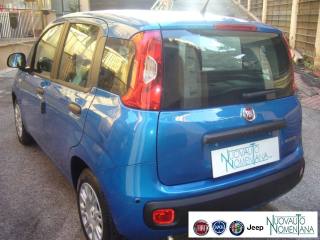 FIAT Panda usata, con Immobilizzatore elettronico