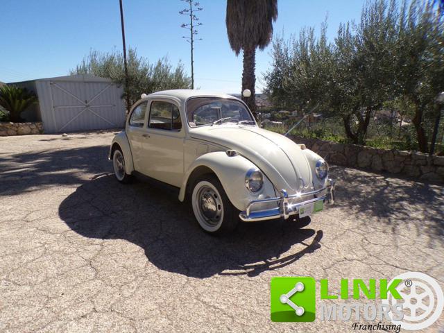 VOLKSWAGEN Maggiolino usata 0