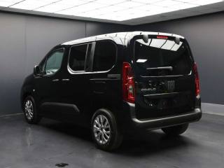 FIAT Doblo usata, con Bracciolo