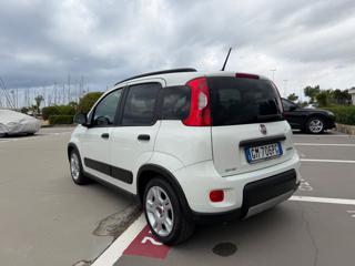 FIAT Panda usata 42