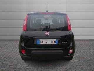 FIAT Panda usata, con Airbag testa