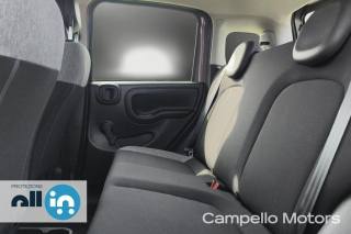 FIAT Panda usata 4