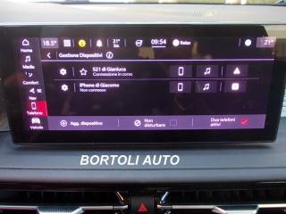 ALFA ROMEO Tonale usata, con Vivavoce