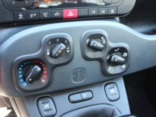 FIAT Panda usata 24