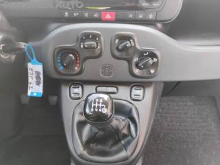 FIAT Panda usata, con Cronologia tagliandi