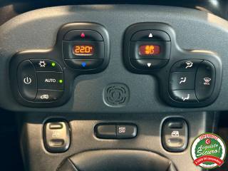 FIAT Panda usata, con Cronologia tagliandi