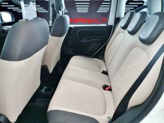 FIAT Panda usata 13