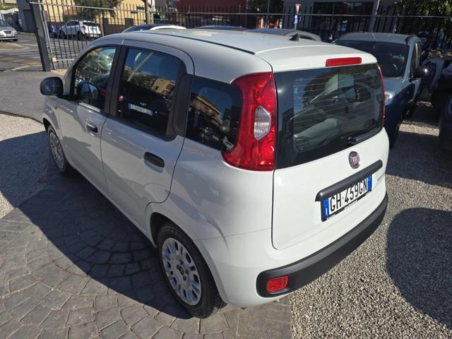 FIAT Panda usata, con Airbag Passeggero
