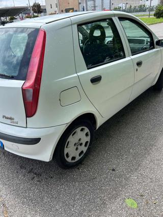 FIAT Punto usata 7