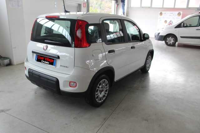 FIAT Panda usata, con Airbag Passeggero