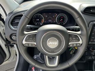 JEEP Renegade usata, con Boardcomputer