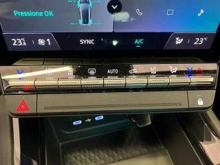 RENAULT Austral usata 22