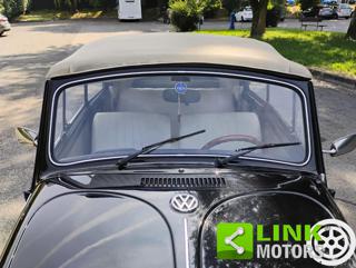 VOLKSWAGEN Maggiolone usata 11