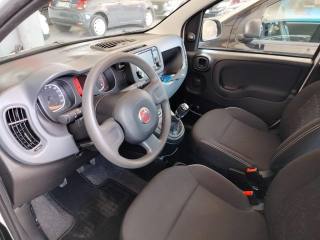 FIAT Panda usata 12