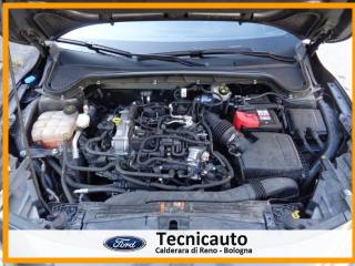 FORD Focus usata, con Bracciolo
