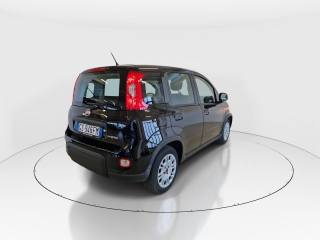 FIAT Panda usata, con Airbag