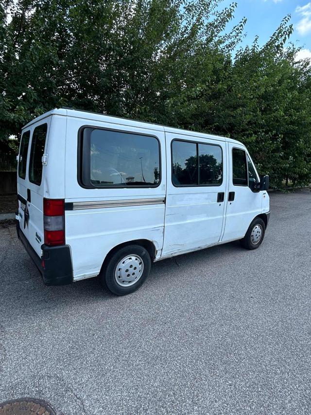 FIAT Ducato usata 3