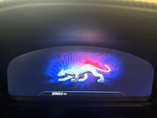 FORD Puma usata, con Cruise Control